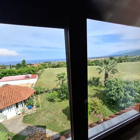 Thea 2 Leptokarya (Pieria)