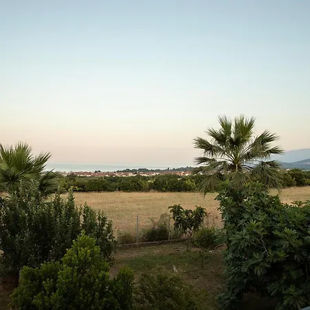 Thea 2 Leptokarya (Pieria)