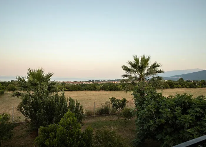 Thea 2 Leptokarya (Pieria)